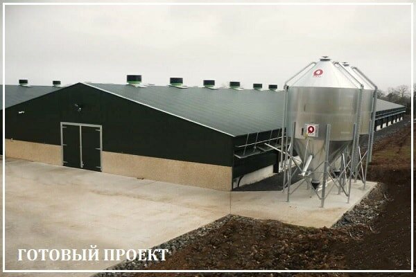 Этапы возведения птицефабрики от завода ВелесТент-рхн